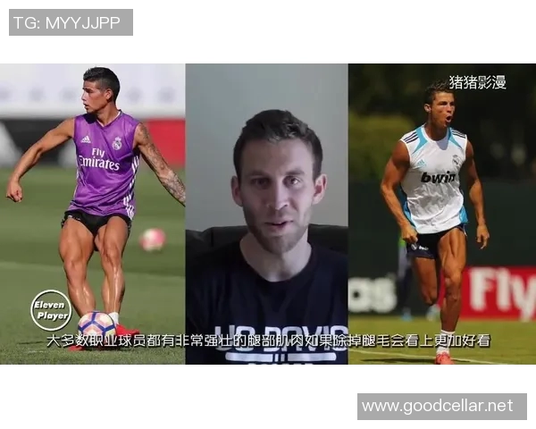 足球明星的职业寿命探讨与影响因素分析及未来发展趋势展望