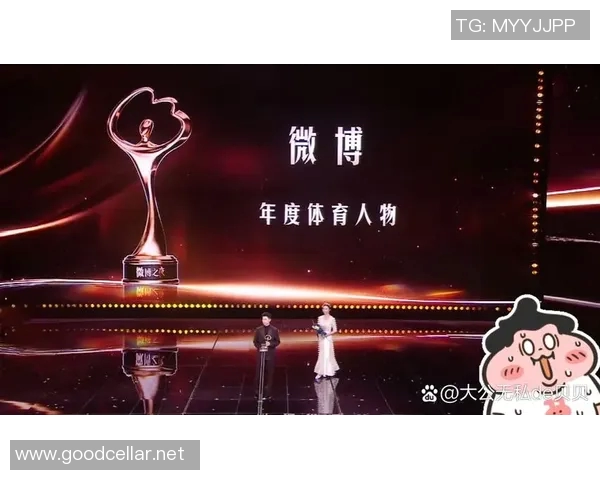 河北省十大体育明星排行榜揭晓他们的成就与影响力不容忽视