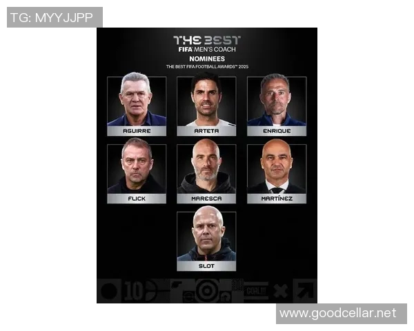 2017年全球最受欢迎的足球明星盘点与影响力分析