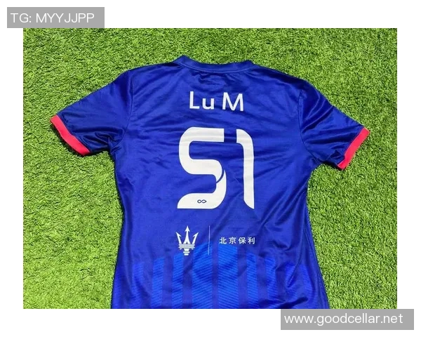 延庆地区足球明星的名字与成就盘点及其对足球发展的影响