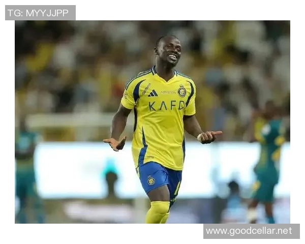 全球足球明星的国籍揭秘你知道哪些国家培养了顶级球员吗 全球足球明星的国籍揭秘你知道哪些国家培养了顶级球员吗