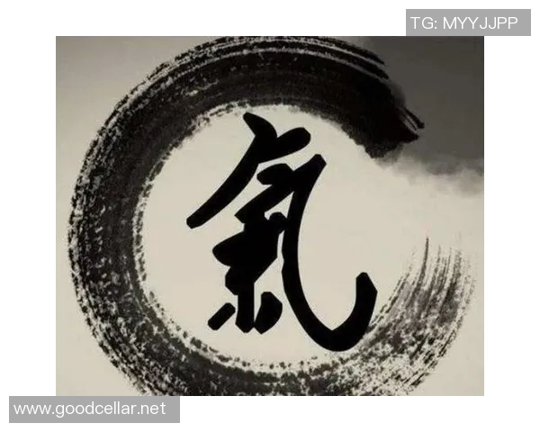 足球明星的崛起与中医养生密不可分的秘密探讨