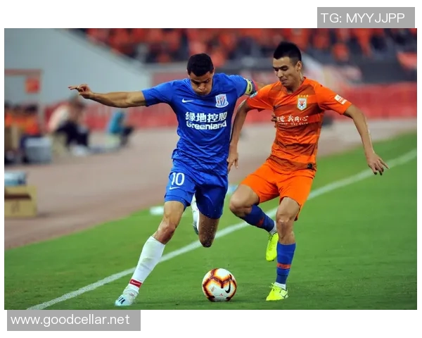 2012赛季中超经典对决申花与鲁能的巅峰对抗回顾