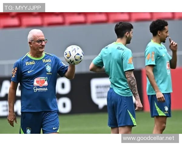 巴西与德国激战全场精彩回放重温经典足球对决瞬间 巴西与德国激战全场精彩回放重温经典足球对决瞬间