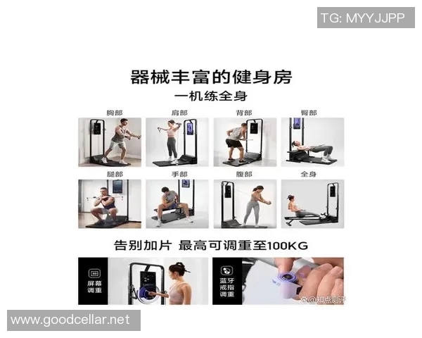 2023年十大健身器材品牌排行榜及推荐购买指南助你轻松塑造完美身材