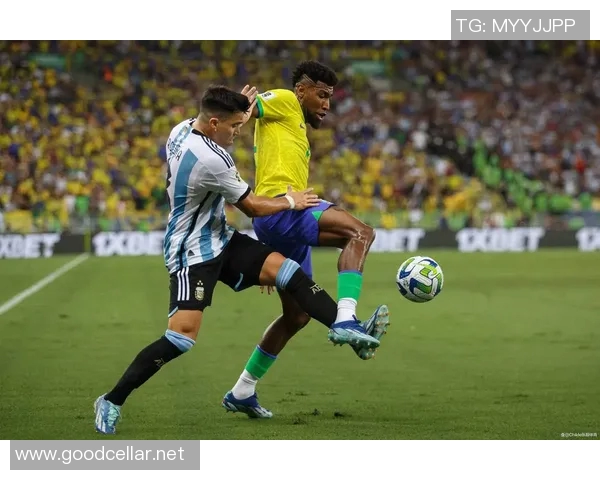 巴西队足球明星盘点他们的辉煌成就与传奇故事